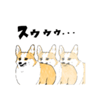 コーギー犬～てんちゃん時々りぼんちゃん～（個別スタンプ：13）