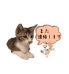 まろもん1（個別スタンプ：10）
