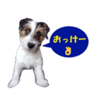 ロンジェ1（個別スタンプ：1）