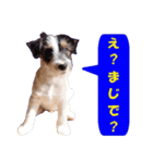 ロンジェ1（個別スタンプ：4）