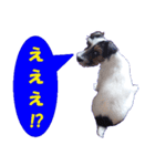 ロンジェ1（個別スタンプ：5）