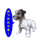 ロンジェ1（個別スタンプ：7）