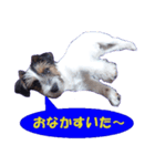 ロンジェ1（個別スタンプ：8）