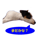 ロンジェ1（個別スタンプ：17）