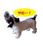 ロンジェ1（個別スタンプ：18）