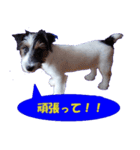 ロンジェ1（個別スタンプ：22）