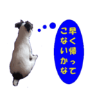 ロンジェ1（個別スタンプ：27）