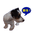 ロンジェ1（個別スタンプ：29）