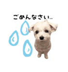 ぼく、こさぶろう（個別スタンプ：2）