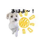 ぼく、こさぶろう（個別スタンプ：3）