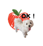 ぼく、こさぶろう（個別スタンプ：5）