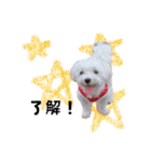 ぼく、こさぶろう（個別スタンプ：6）