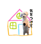 ぼく、こさぶろう（個別スタンプ：8）