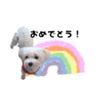 ぼく、こさぶろう（個別スタンプ：9）
