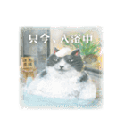 かなしきデブ猫ちゃん（兵庫編）スタンプ（個別スタンプ：40）