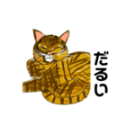 メモ機能手描きイラスト 猫（個別スタンプ：6）