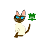 メモ機能手描きイラスト 猫（個別スタンプ：8）