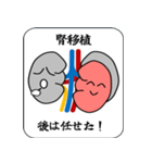 慢性腎臓病（CKD）ステージ（個別スタンプ：8）