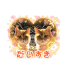 cat/元保護猫スタンプです。（個別スタンプ：4）