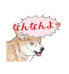 柴犬スティーブch （絵・ shimashima）（個別スタンプ：5）