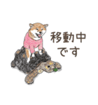 柴犬スティーブch （絵・ shimashima）（個別スタンプ：11）