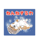 柴犬スティーブch （絵・ shimashima）（個別スタンプ：22）