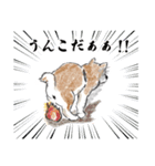 柴犬スティーブch （絵・ shimashima）（個別スタンプ：26）
