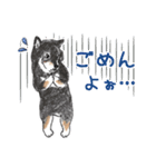柴犬スティーブch （絵・ shimashima）（個別スタンプ：28）