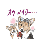 柴犬スティーブch （絵・ shimashima）（個別スタンプ：32）