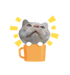 ラブリィねこスタンプ（個別スタンプ：4）