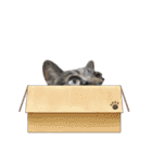 ラブリィねこスタンプ（個別スタンプ：13）