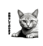 AIモノクロ猫（敬語）（個別スタンプ：6）