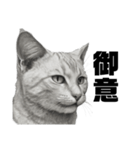 AIモノクロ猫（敬語）（個別スタンプ：7）