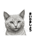 AIモノクロ猫（敬語）（個別スタンプ：9）