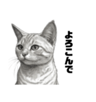 AIモノクロ猫（敬語）（個別スタンプ：11）