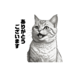 AIモノクロ猫（敬語）（個別スタンプ：12）