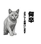 AIモノクロ猫（敬語）（個別スタンプ：15）