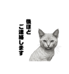 AIモノクロ猫（敬語）（個別スタンプ：16）