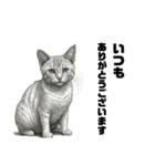 AIモノクロ猫（敬語）（個別スタンプ：19）
