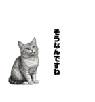 AIモノクロ猫（敬語）（個別スタンプ：25）