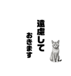 AIモノクロ猫（敬語）（個別スタンプ：26）