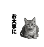 AIモノクロ猫（敬語）（個別スタンプ：30）