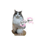 ラン＆ダンスタンプ（個別スタンプ：8）
