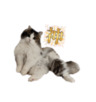 ラン＆ダンスタンプ（個別スタンプ：9）