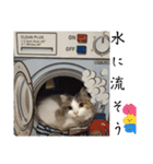 ラン＆ダンスタンプ（個別スタンプ：21）