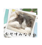 ラン＆ダンスタンプ（個別スタンプ：32）