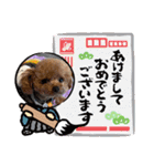 可愛い我が子達のスタンプ！犬様大集合（個別スタンプ：40）