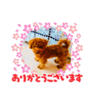 ライオンじゃないよ 子犬のシトロンくん（個別スタンプ：32）