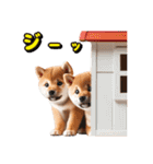 リアル豆柴と犬たちの日常スタンプ（個別スタンプ：9）