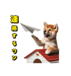 リアル豆柴と犬たちの日常スタンプ（個別スタンプ：12）